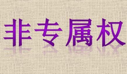 专属权,法律保护下的知识产权奥秘